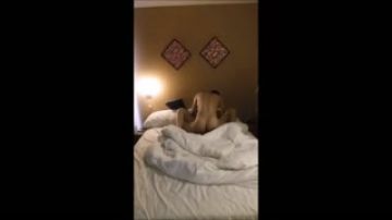 「その年で结婚できないのはSEXが下手だからじゃないの？」とアラサー独身姉を挑発、逆上させ自分好みに変态调教「近亲花嫁修行计画」