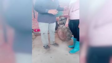 ✿户外搭讪✿牛人大哥乡下猎艳勾搭菜地里打药的大婶软磨硬泡迷煳中就被500块套路肏穴缠绵肉体席地而战第02集