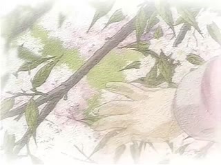 [H无码]Natural2 -DUO- 第1话「千纱都」